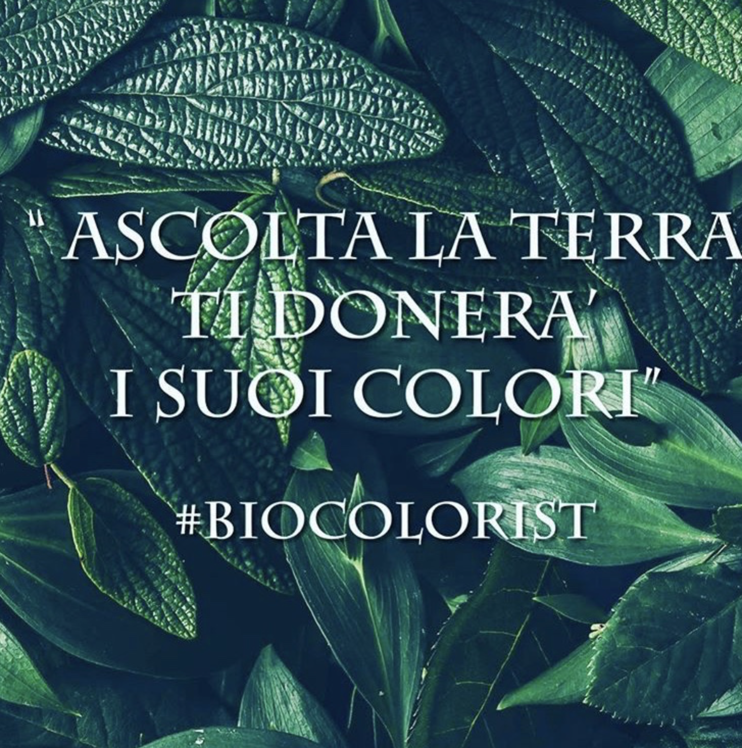 Colorazione Capelli Bio | Inspiration Atelier Ricci e Capricci
